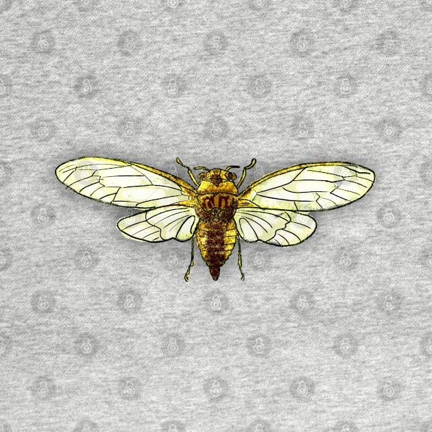 Bugs-1 Cicada Grasshopper by Komigato